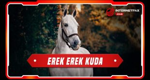 erek erek kuda