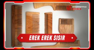 erek erek sisir