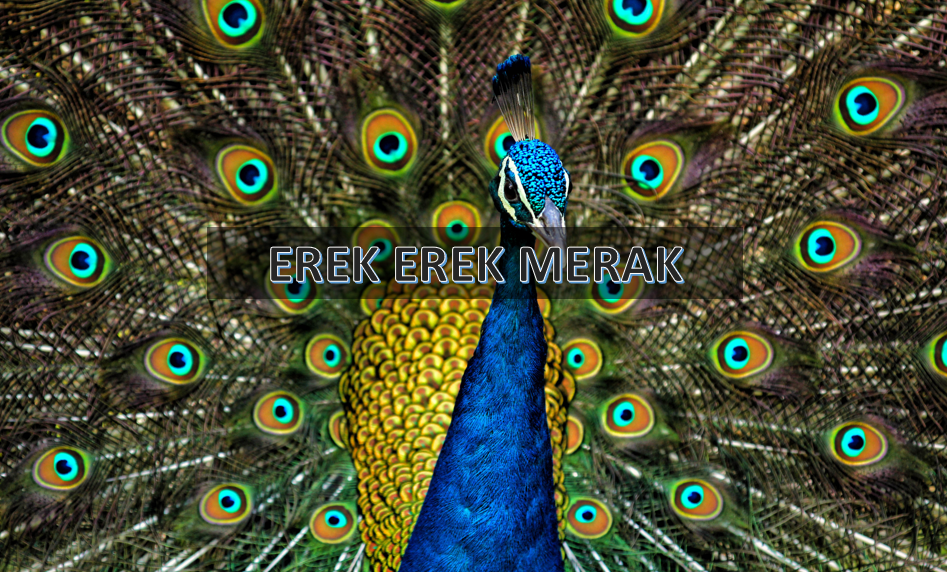 erek erek merak