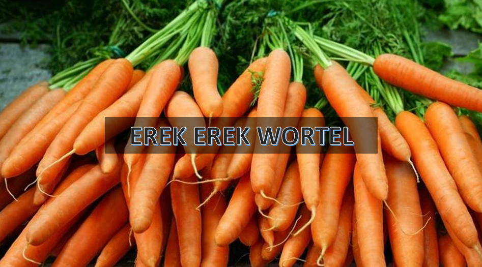 erek erek wortel
